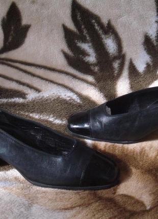 Gabor .фирменные классические кожаные туфли 37р.8 фото
