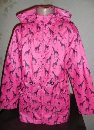 Плащик -ветровочка * st bernard* подклад полиестер, 9-10 лет (140 см)