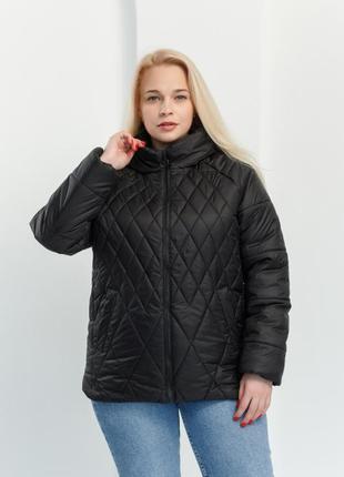 Весняна куртка чорного кольору жіноча