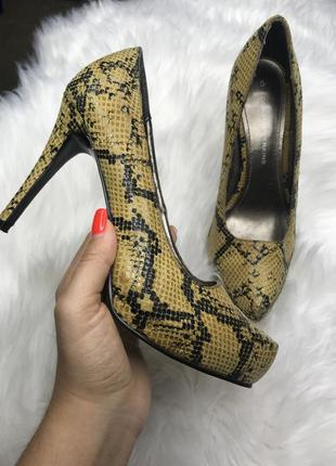 🐍зміїний принт стильні і красиві туфлі. dorothy perkins shoes multi snake