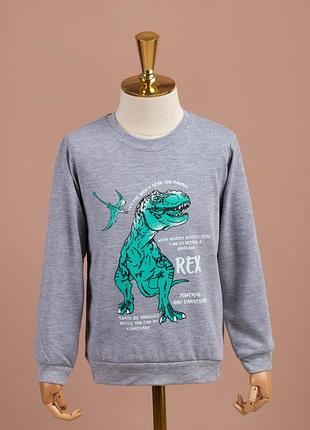 Свитшот для мальчиков 8191-2