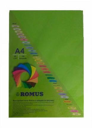 Папір кольоровий romus a4 80 г/м2 зелена липа r508501 фото