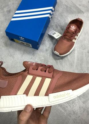 Розпродаж! кросівки adidas в кораловому кольорі (40-25 см)8 фото