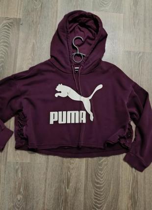 Puma