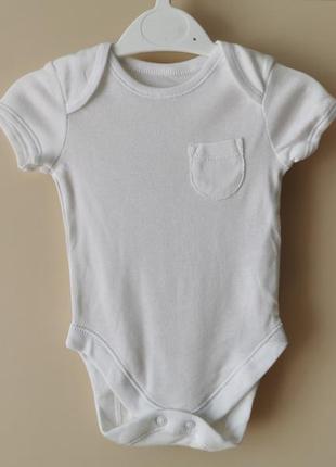 Новые боди от george 4