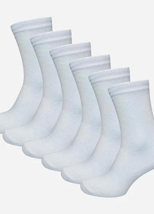 Набір чоловічих шкарпеток високих бавовняних лео classic 6 пар білий