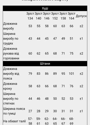 Мега стильний базовий спортивний костюм, підлітковий трендовий  костюм, модный базовый спортивный костюм для подростка2 фото