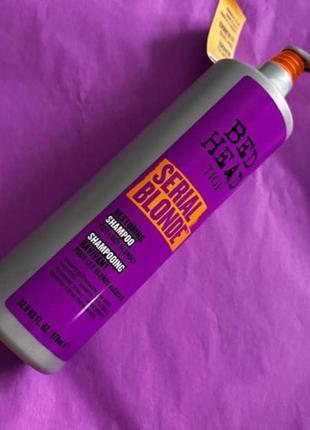 Tigi bed head special blonde шампунь для освітленого волосся