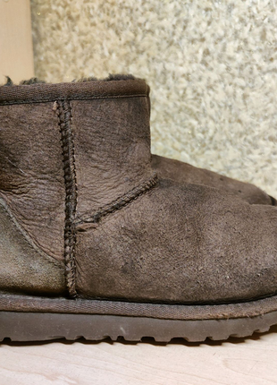 Сапоги ботинки зимние , ugg1 фото