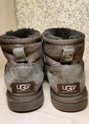 Сапоги ботинки зимние , ugg4 фото