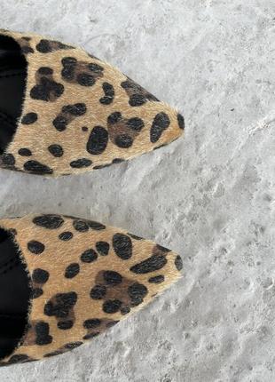 Туфлі, принт леопард2 фото