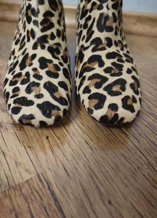 Шкіряні черевики в леопардовий принт clarks5 фото