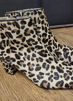 Шкіряні черевики в леопардовий принт clarks6 фото