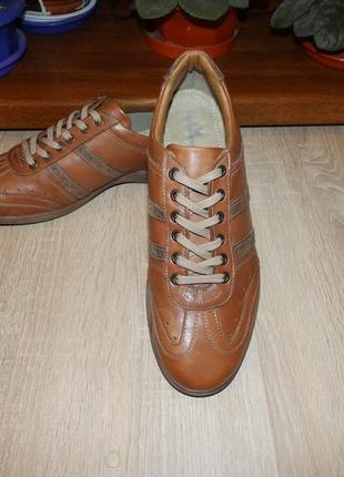 Кроссовки туфли , повседневная обувь marks & spencer mens blue harbour brown shoes