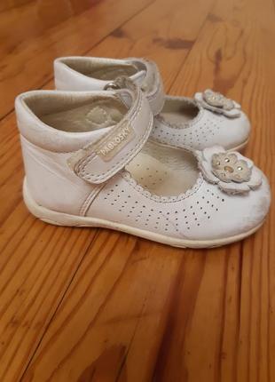 Кроссовки - туфли