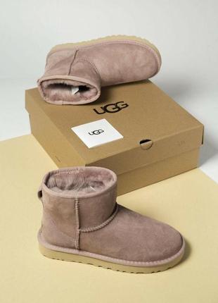 Жіночі кросівки "ugg classic mini suede pink"