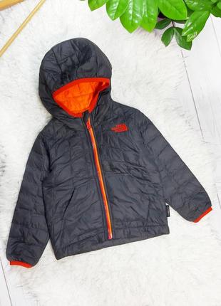 Легкая курточка the north face