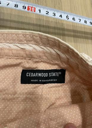 Акция 🎁 стильные шорты чинос cedarwood state

zara next3 фото