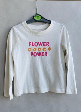 Новий реглан primark