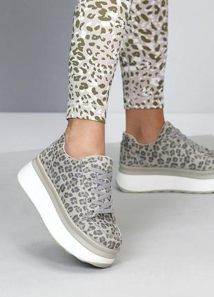 Модные женские кроссовки с трендовым принтом леопарда, серые, бежевые на утолщенной подошве замша,3 фото