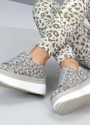 Модные женские кроссовки с трендовым принтом леопарда, серые, бежевые на утолщенной подошве замша,5 фото