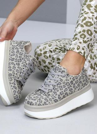 Модные женские кроссовки с трендовым принтом леопарда, серые, бежевые на утолщенной подошве замша,10 фото