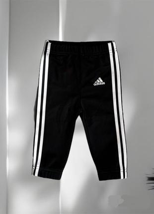 Брюки adidas 6/9 мес