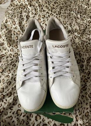 Кросівки lacoste шкіряні