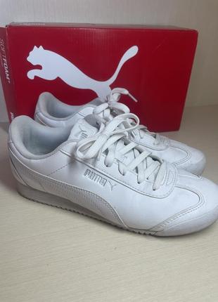 Кроссовки puma2 фото