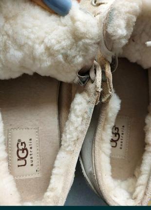 Кеди ugg 25-25,5см3 фото