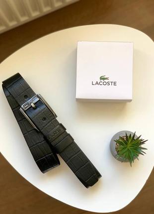 Мужской ремень lacoste черный в подарочной коробке2 фото