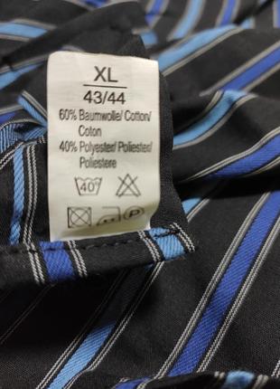 Стильна чоловіча сорочка bexleys man р. xl комір 43/443 фото