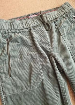 Вильветовые брюки на резинке cecil3 фото