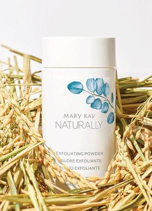 Новинка! набор натуральной косметики мери кей  mary kay naturall6 фото