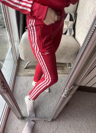 Костюм adidas3 фото