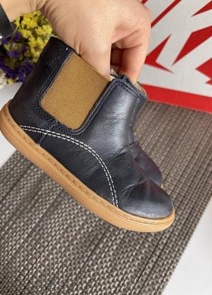 Черевики clarks4 фото