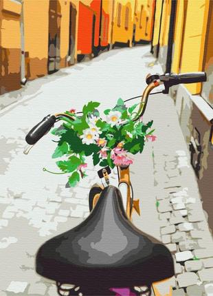 Картина по номерам 40х50 на деревянном подрамнике "велопрогулка старым городом" bs52583