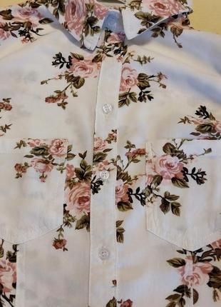 Качественная стильная вискозная блуза hailys7 фото