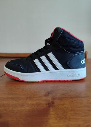 Кроссовки adidas hoops 2.0 mid1 фото