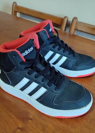 Кроссовки adidas hoops 2.0 mid2 фото