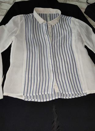 Гарна сорочка блузка смуга 🌸2 фото