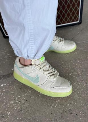 Жіночі кросівки LeBron James x Protections nike Dunk Low Fruity Pebbles DH8009-600 люкс якість3 фото