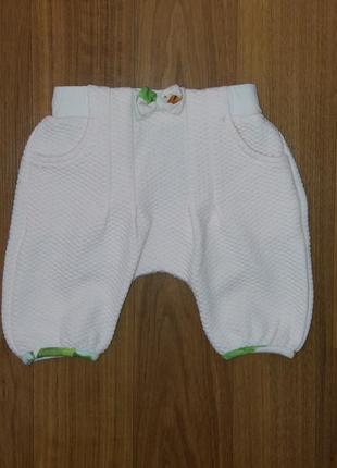 Штаники на дівчинку ted baker