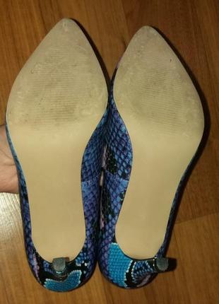 Жіночі туфлі, туфлі carvela3 фото