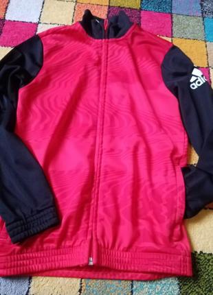 Спортивные кофты