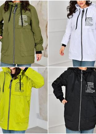 Жіноча вітровка великі розміри