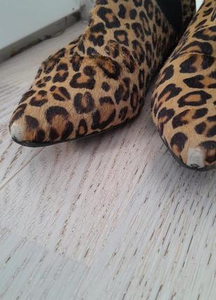 Челси с острым носом леопардовые 36 размера5 фото