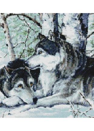 Алмазная мозаика волки на снегу 40х50 см colorart sp0121 фото