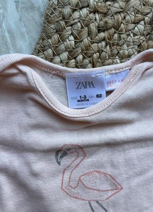 Боди zara 1-3 месяца 3 штуки3 фото