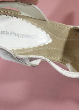 Нові шкіряні босоніжки hush puppies оригінал7 фото